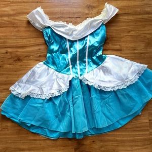 Cinderella Halloween Costume